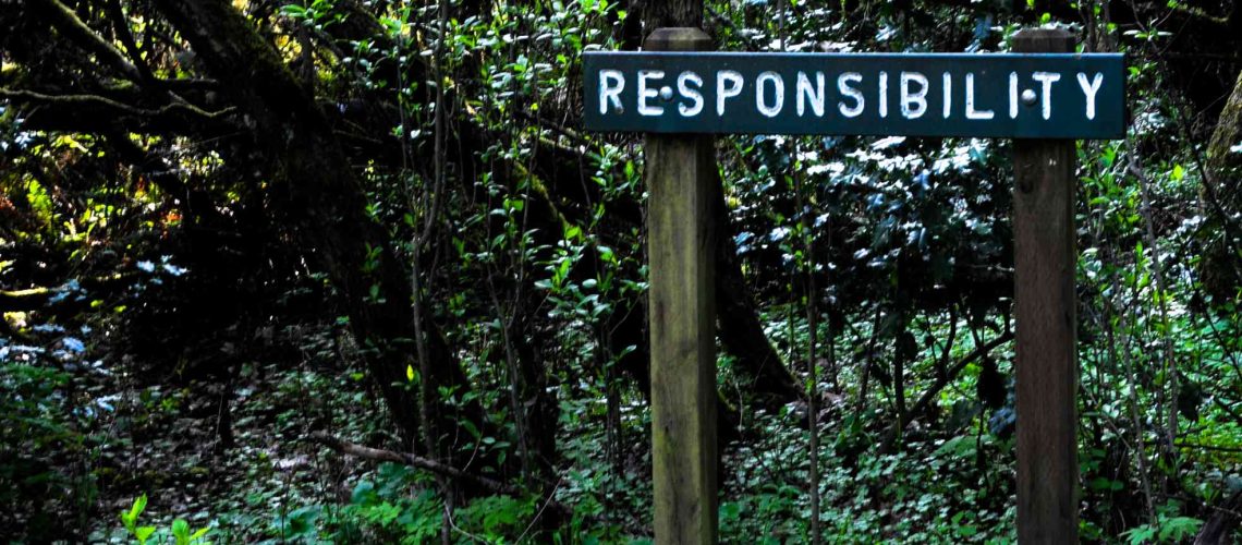 15-0.Responsibility.79e5b80cb487522d0679ee8453430cc1